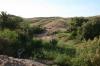 Paysage verdoyant