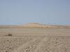 En cherchant le relais j'ai du traverser cette dune où j'ai fait une rencontre innatendue...