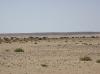 Au bas du Relais passe un oued... enfin... quand il y a de l'eau...