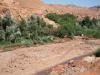 Au bord de l'oued