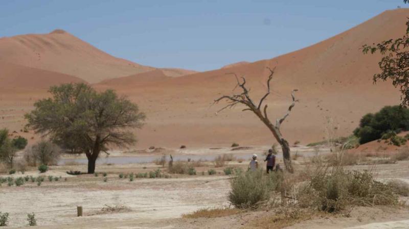 dunes de Sossulsvlei