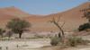 dunes de Sossulsvlei