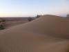 Tôt le matin dans les dunes