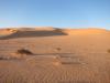 Les dunes vers Smara
